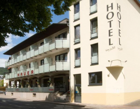 Отель Hotel Hauer  Боллендорф